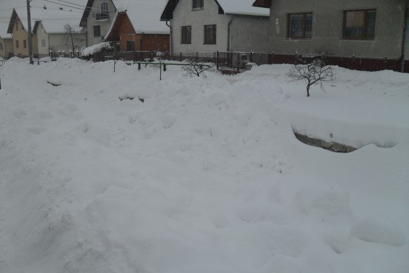 Sneh februar 2012