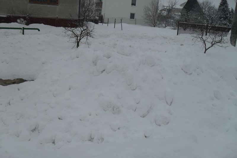Sneh februar 2012