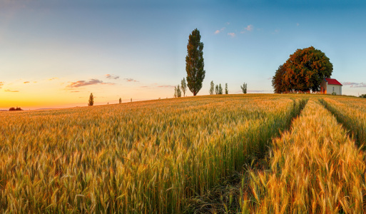 Deň detí - škôlka