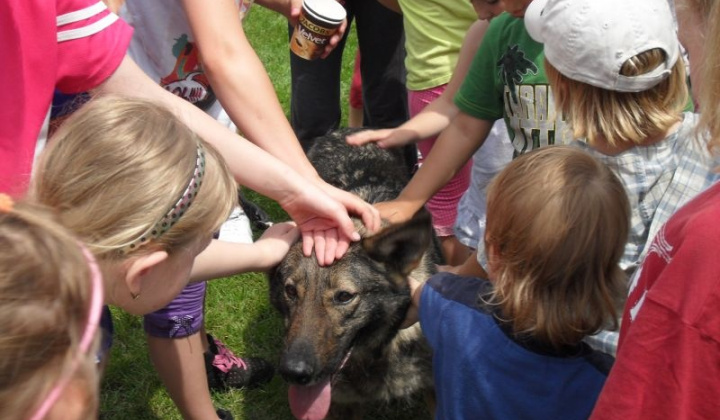 22. fotografia fotogalérie Deň detí 2011