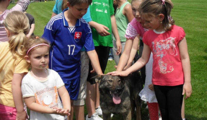 23. fotografia fotogalérie Deň detí 2011