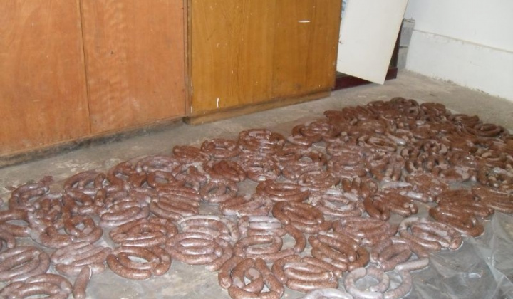 7. fotografia fotogalérie Hody 2011