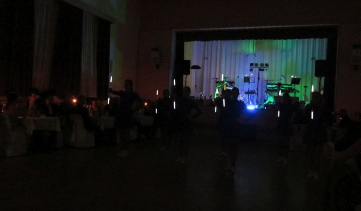 3. fotografia fotogalérie II. starostovský ples