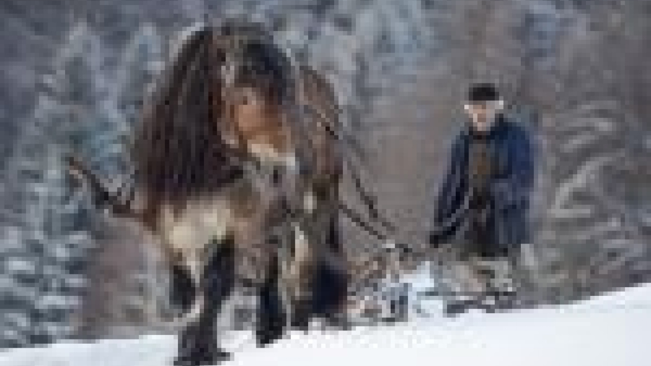 Fotografia fotogalérie MAS fotosutaz 2014