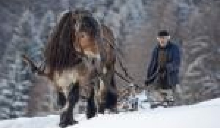 1. fotografia fotogalérie MAS fotosutaz 2014