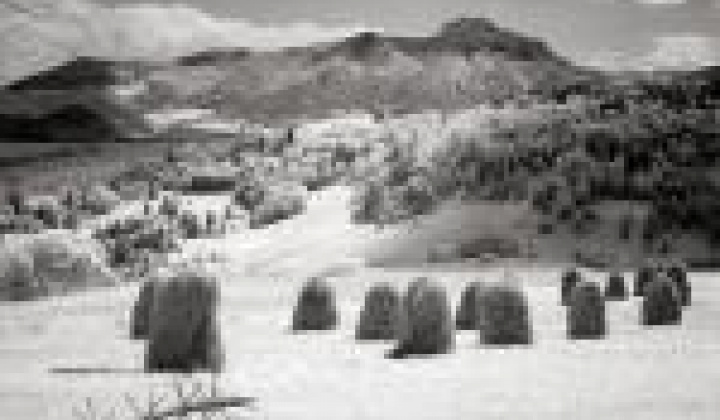 4. fotografia fotogalérie MAS fotosutaz 2014