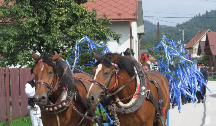 4. fotografia fotogalérie Hody 2014_foto