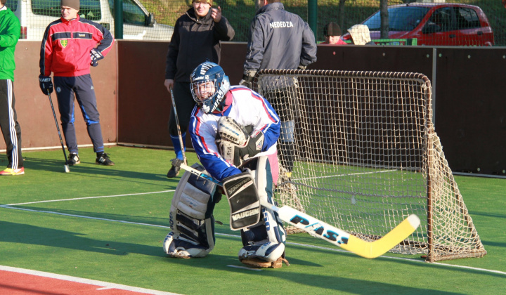 5. fotografia fotogalérie NHL 2013