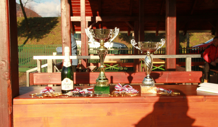 6. fotografia fotogalérie NHL 2013