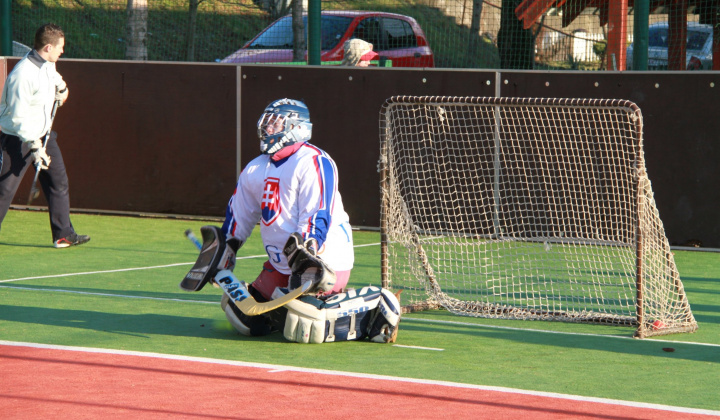 7. fotografia fotogalérie NHL 2013