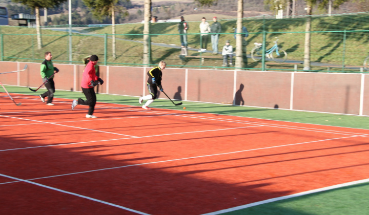 22. fotografia fotogalérie NHL 2013