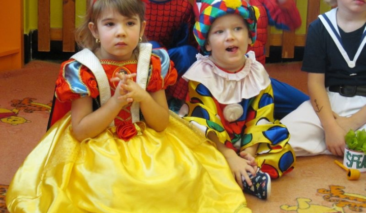 2. fotografia fotogalérie MS karneval 2013