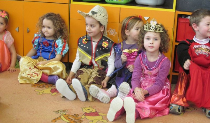 3. fotografia fotogalérie MS karneval 2013