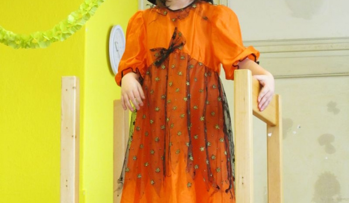 5. fotografia fotogalérie MS karneval 2013