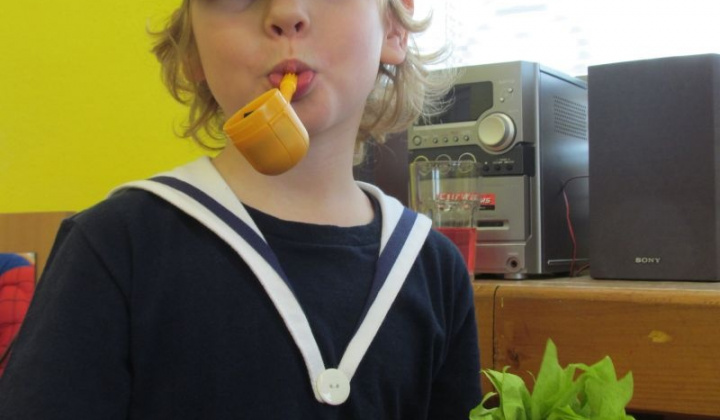 6. fotografia fotogalérie MS karneval 2013