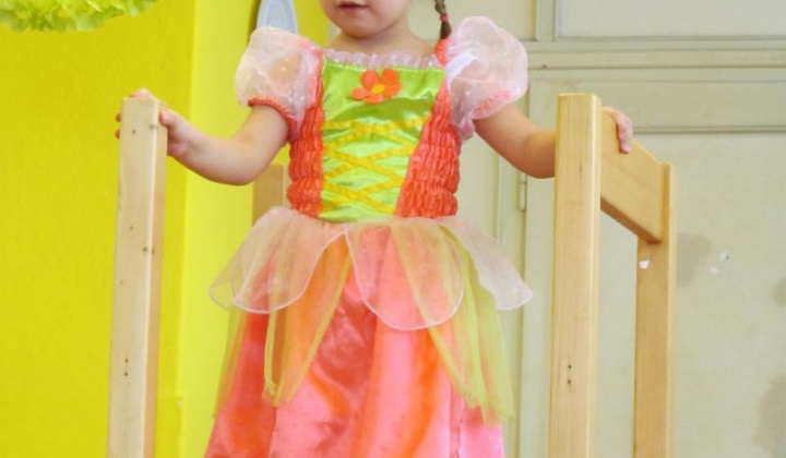 7. fotografia fotogalérie MS karneval 2013