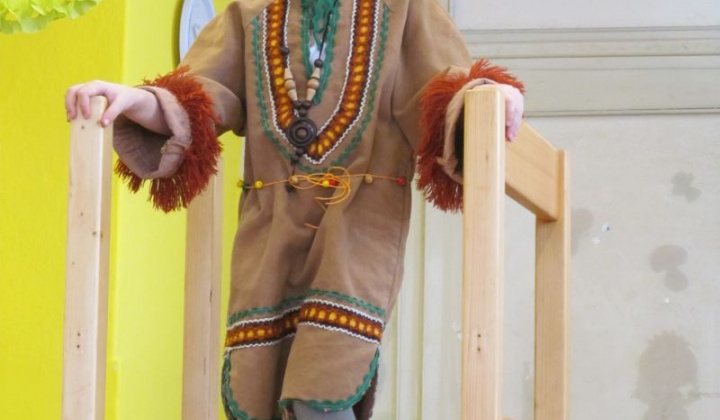 9. fotografia fotogalérie MS karneval 2013