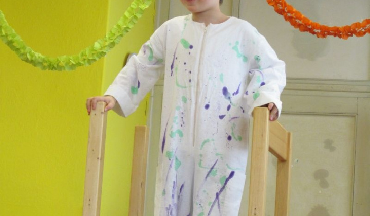 10. fotografia fotogalérie MS karneval 2013