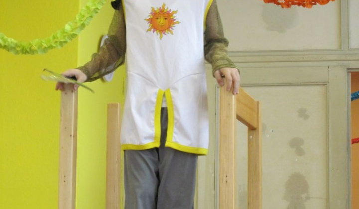 12. fotografia fotogalérie MS karneval 2013