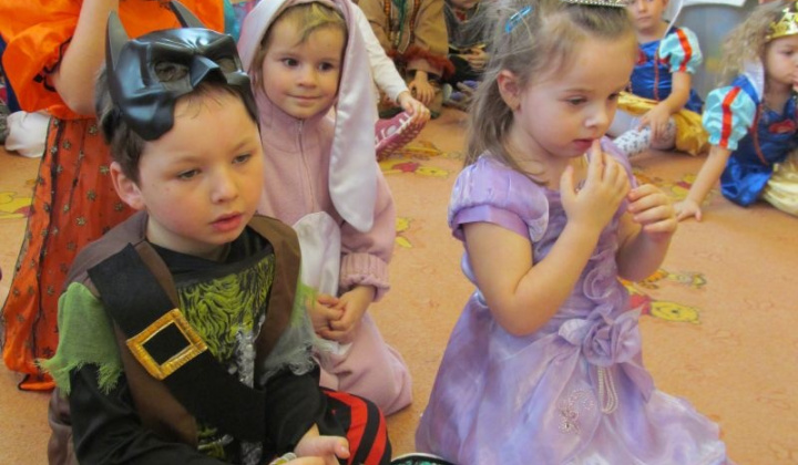 13. fotografia fotogalérie MS karneval 2013