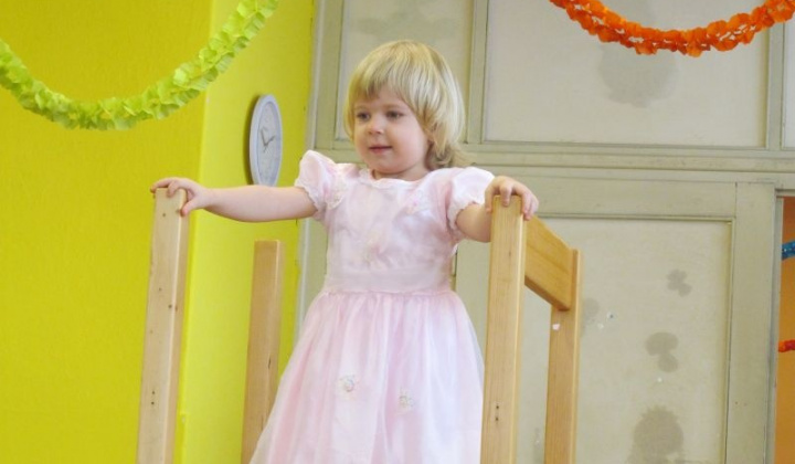 14. fotografia fotogalérie MS karneval 2013