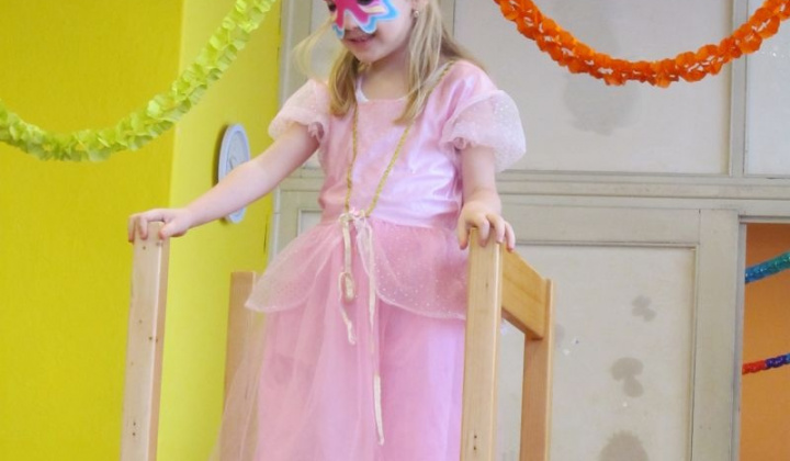 16. fotografia fotogalérie MS karneval 2013