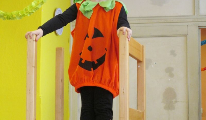 17. fotografia fotogalérie MS karneval 2013