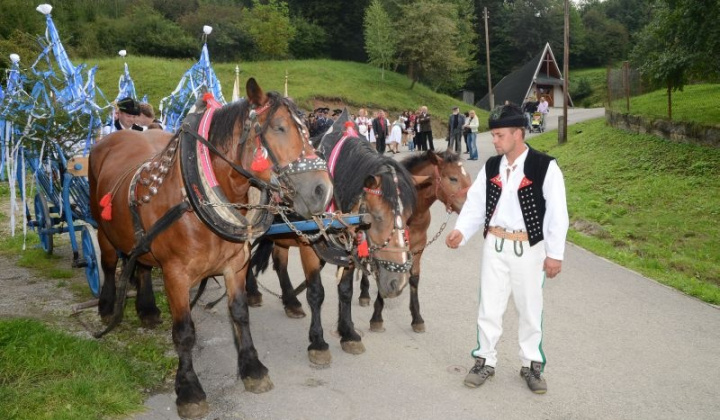 10. fotografia fotogalérie Hodové slávnosti Sedembolestnej Panny Márie 2013