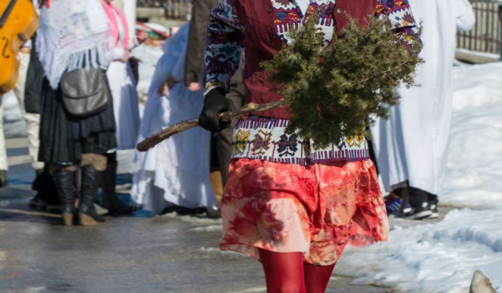 8. fotografia fotogalérie Fašiangový sprievod 2015