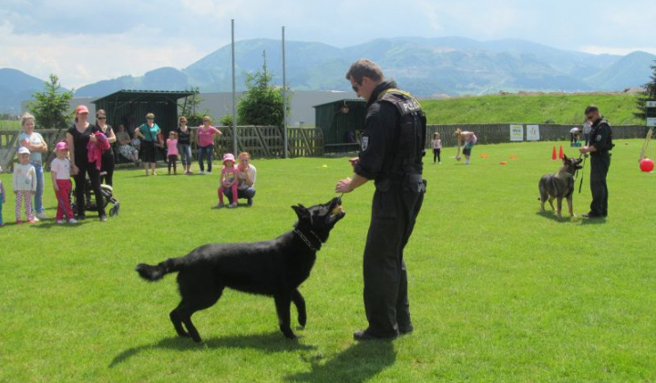 5. fotografia fotogalérie Deň detí 2015