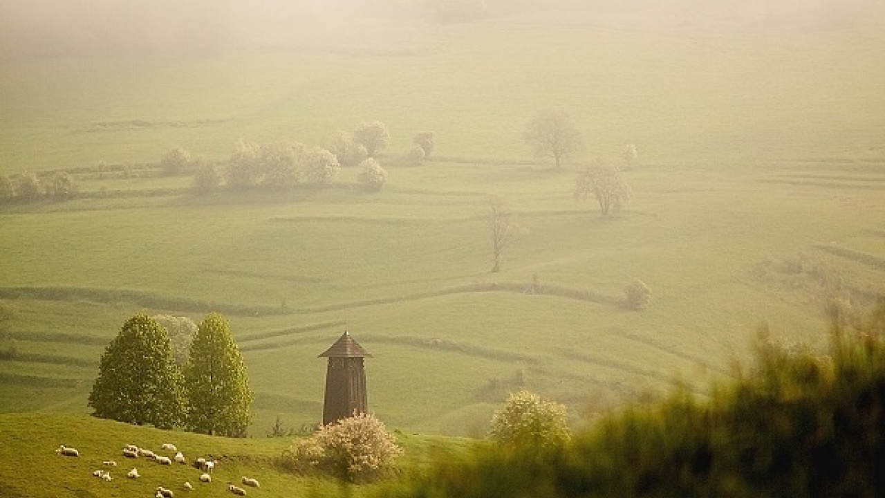 Fotografia fotogalérie Hlasovanie MAS o najkrajsiu fotografiu