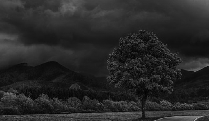 5. fotografia fotogalérie Hlasovanie MAS o najkrajsiu fotografiu