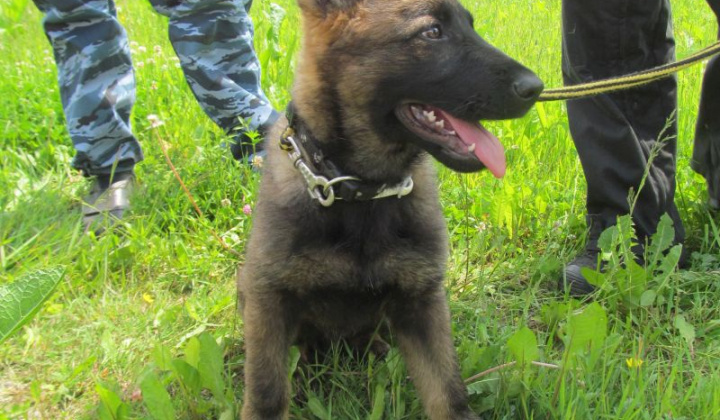 10. fotografia fotogalérie Deň detí 2015