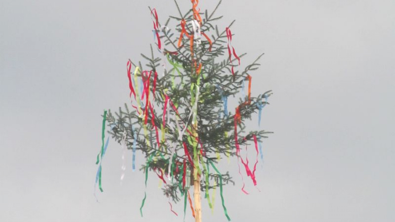 Fotografia fotogalérie Váľanie mája 30.05.2015