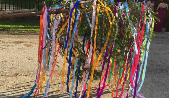 2. fotografia fotogalérie Stavanie mája 30.04.2016