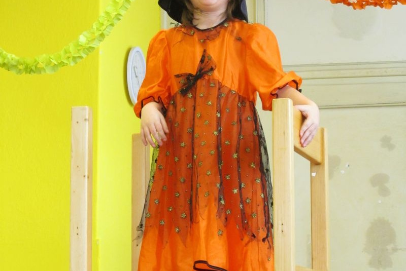 MS karneval 2013