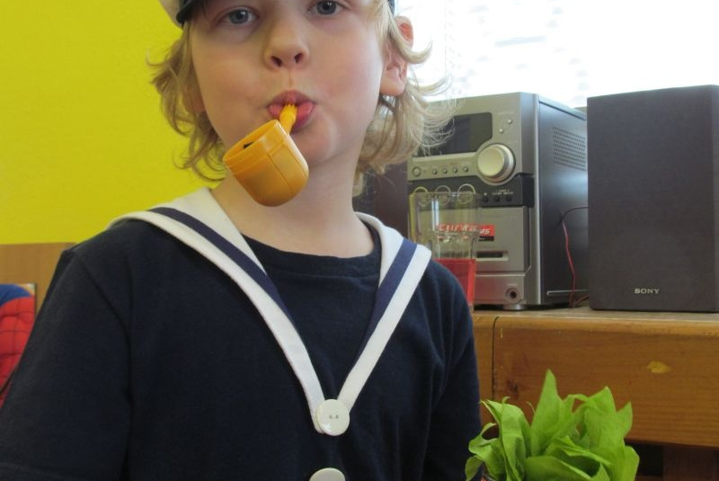MS karneval 2013