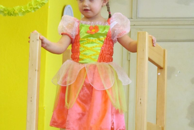 MS karneval 2013
