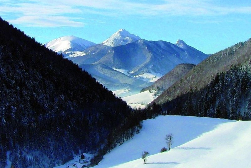 MAS hlasovanie