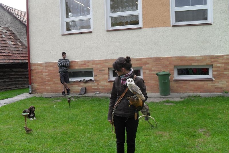 MS SOVY