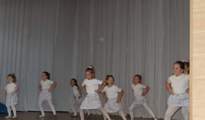 17. fotografia fotogalérie Den matiek 2018