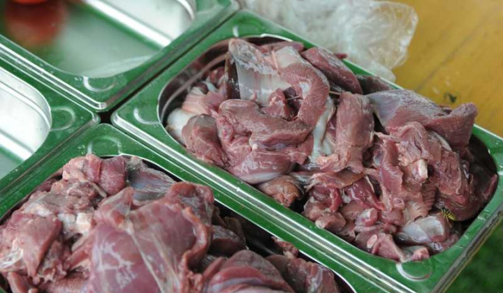 6. fotografia fotogalérie Nededzský kotlík 2019