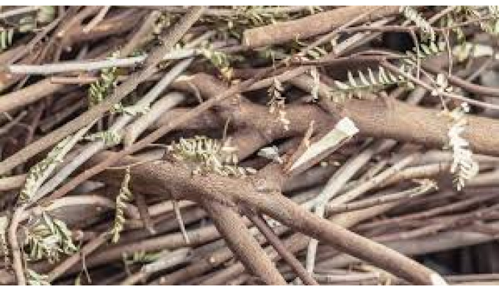 Fotka - KOMPOSTÁREŇ - OZNAM 