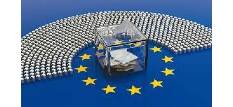 Voľby do Európskeho parlamentu - informácia o podmienkach práva voliť a práva byť volený