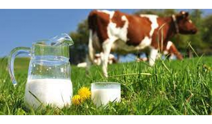 MLIEČNY EXPRES - predaj mliečnych výrobkov v našej obci